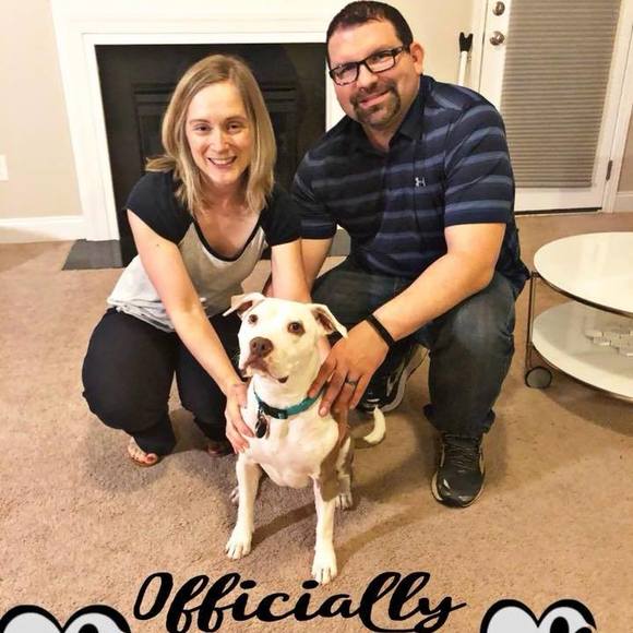 Meet your Posher, Joseph - Picture 1 of 1